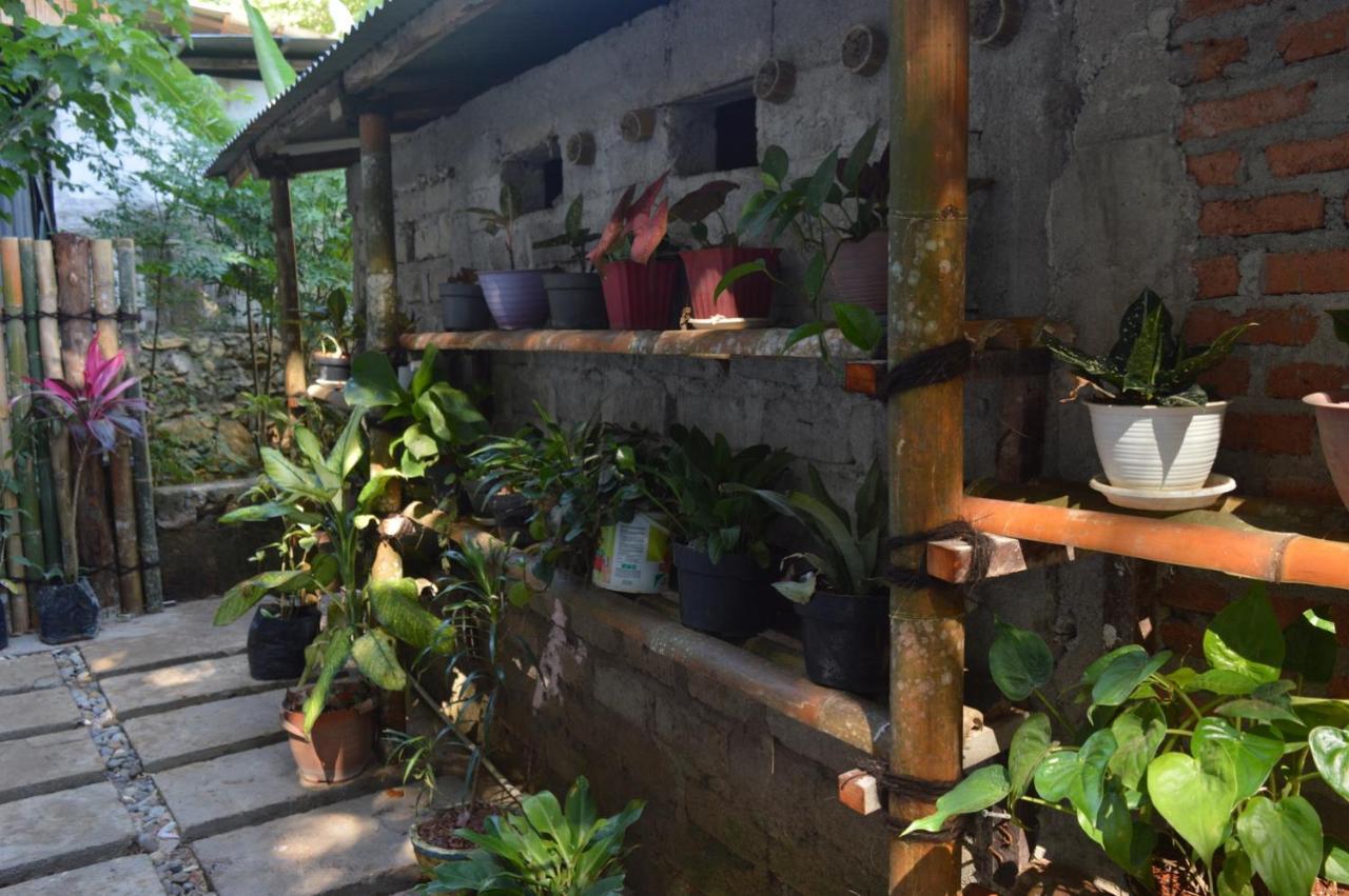 Labuan Bajo Mahoni Guesthouse Exteriör bild